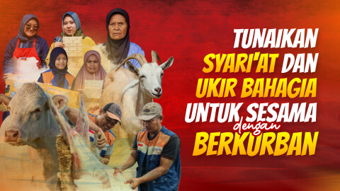 Banner web gsm 6